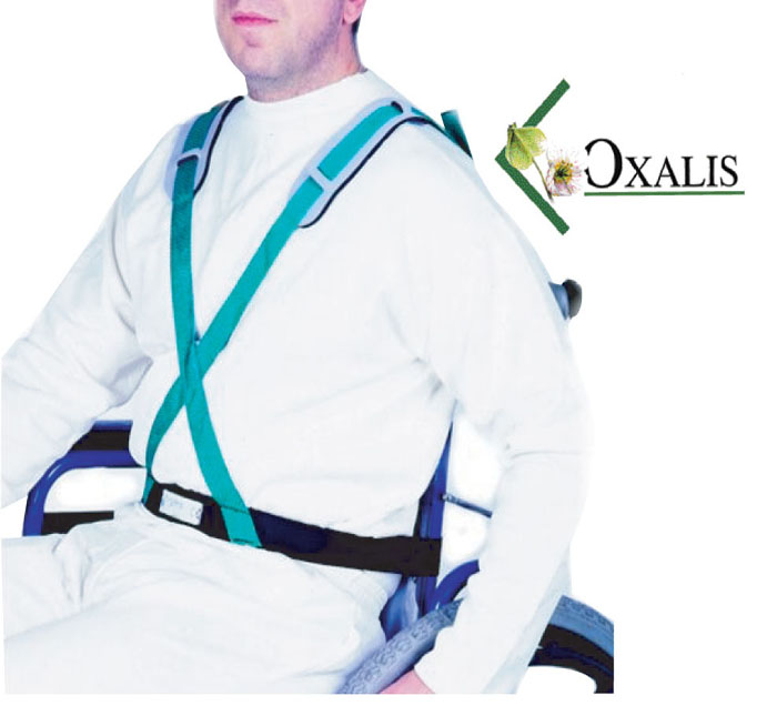 wheelchair-harness-image