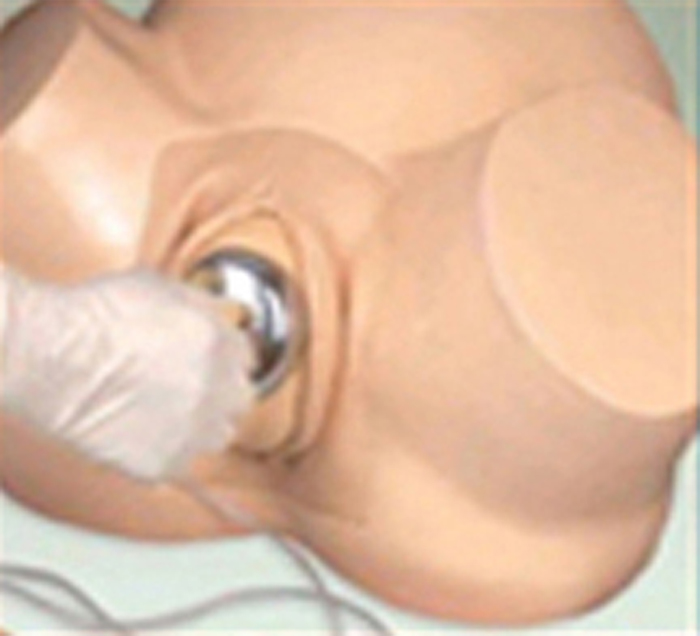 pelvis-model-training-childbirth-newborn-image-3