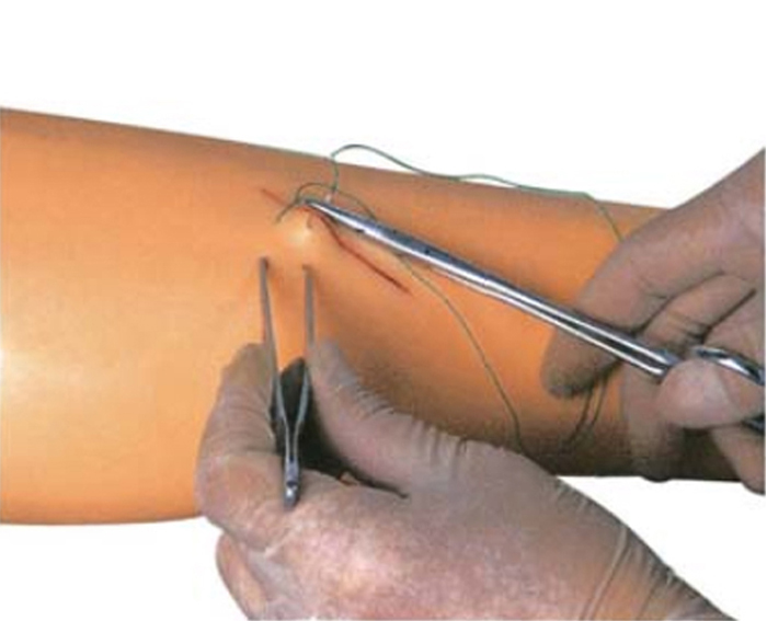 arms-for-sutures-advanced-model-in-pvc-image-3