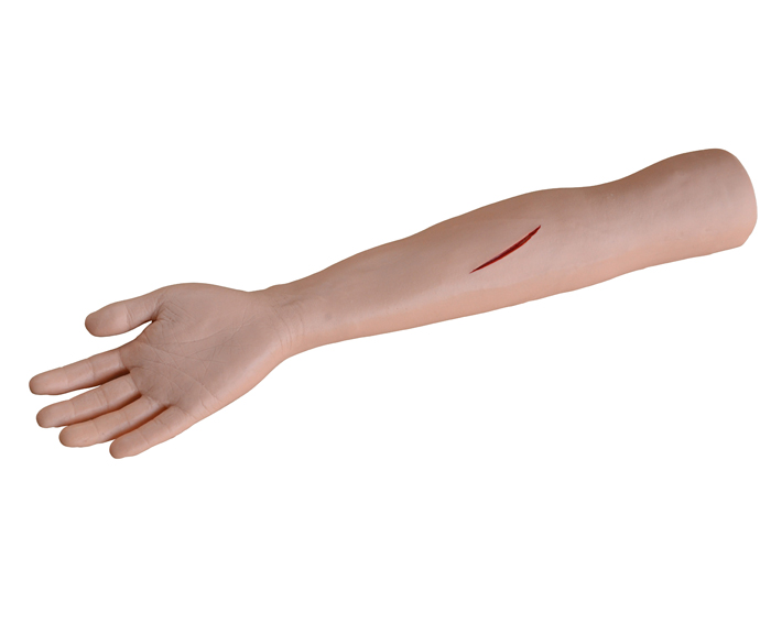 arms-for-sutures-advanced-model-in-pvc-image