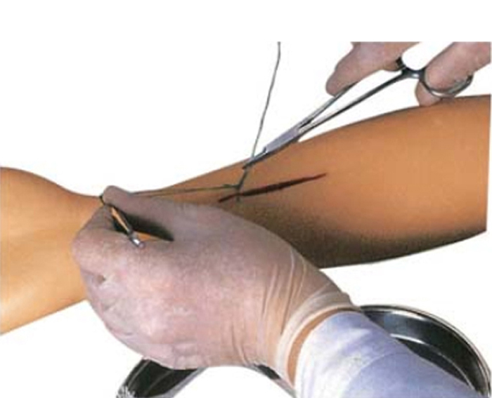 arms-for-sutures-advanced-model-in-pvc-image-2